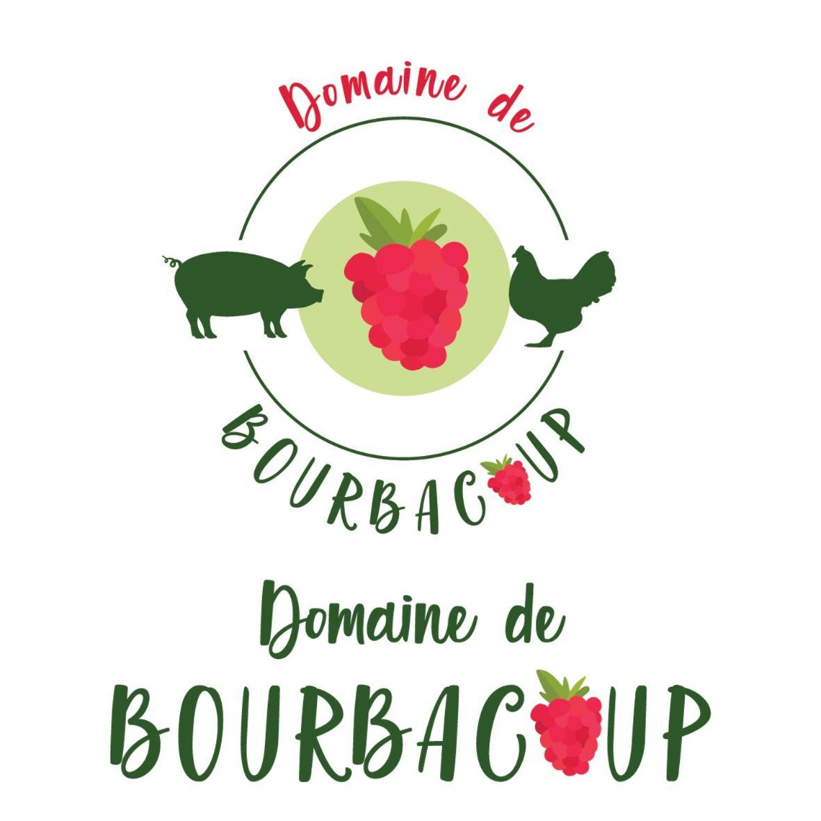 Chambres D'Hotes Du Domaine De Bourbacoup チュール エクステリア 写真